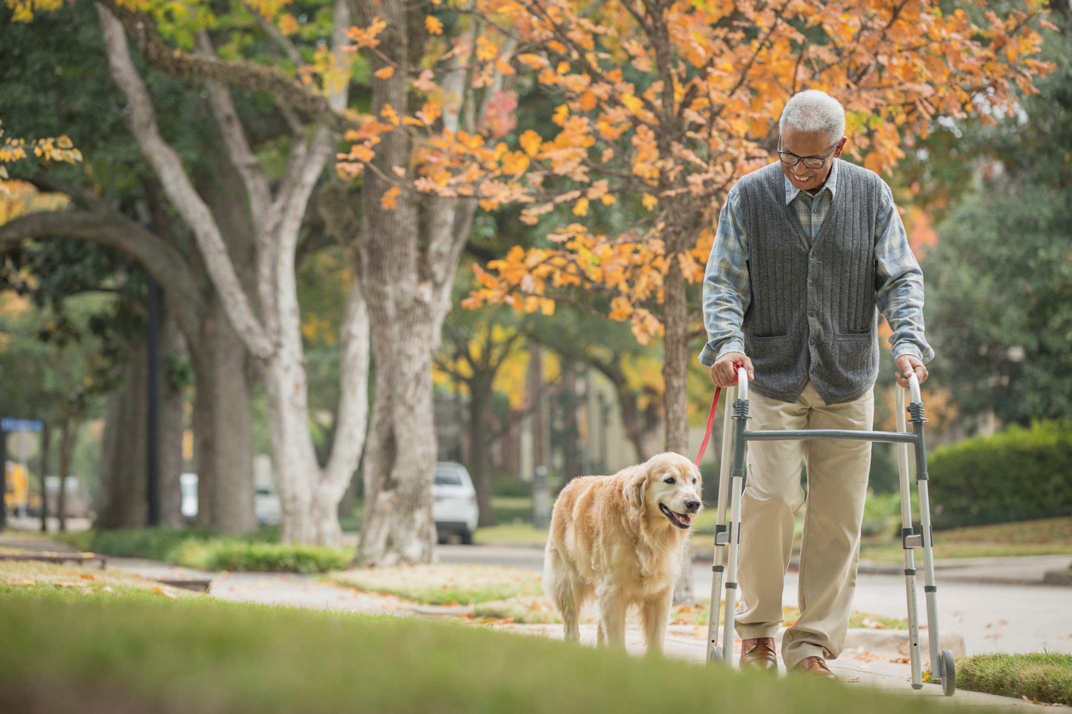 Older adult walking with walker and dog